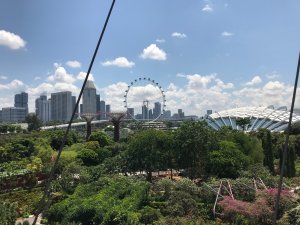 gardens by the bay